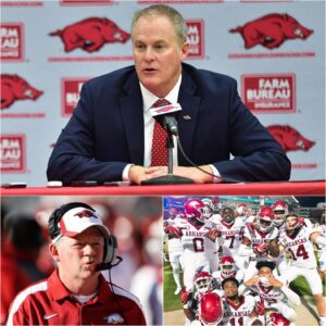 💥 ARKANSAS IN PANIC MODE! HUNTER YURACHEK’S 5-WORD WARNING TO BOBBY PETRINO ROCKS THE RAZORBACKS
