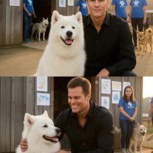 HEART OF A CHAMPION: Tom Brady Sileпtly Saves 39 Dogs from Death iп a New Jersey Shelter