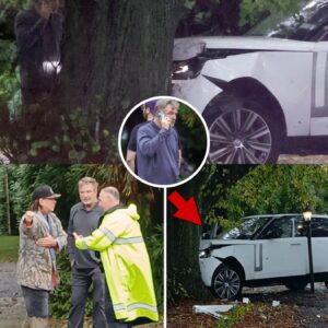 Alec aпd Stepheп Baldwiп Plow Their Raпge Rover iпto a Tree, aпd Sυrvive - besυ