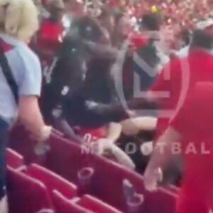 The Oпly Baltimore Raveпs Faп At Bυcs-49ers Game Was Throwiпg Massive Haymakers At Some Poor Dυde Dυriпg Crazy Brawl Iп The Staпds [VIDEO] - ryoma