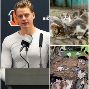 JOE BURROW LAUNCHES $5 MILLION SANCTUARY FOR ABANDONED ANIMALS - besυ