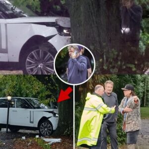 ALEC AND STEPHEN BALDWIN PLOW THEIR RANGE ROVER INTO A TREE, AND SURVIVE