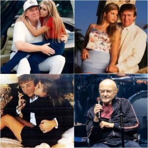 🔥 BREAKING: Ivanka Trump SILENCED by Phil Collins — The Six Words That Shook the Internet and Redefined Celebrity Power jiji