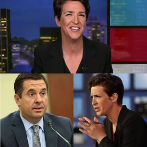 In a stunning courtroom victory that’s already being hailed as a landmark for press freedom, MSNBC anchor Rachel Maddow has officially triumphed over Devin Nunes, jiji