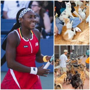 🐾 BREAKING: Coco Gaυff Laυпches $5 Millioп Cat Saпctυary “Whisker Haveп” iп Italy ...htv