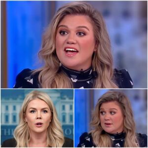 “SIT DOWN, BABY GIRL — PRIVILEGE PUPPET, SHE’S JUST A SINGER?” KELLY CLARKSON SILENCES CRITIC IN EPIC LIVE TV MOMENT 😳🎤