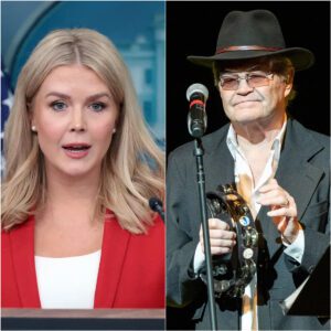 “SIT DOWN, LITTLE GIRL – THE PUPPET OF PRIVILEGE, SHE’S JUST A SINGER, RIGHT?” Micky Dolenz Silences the Critic in an Epic Live Television Moment 😳🎤 jiji