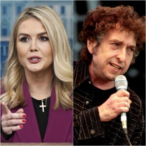 “SIT DOWN, BABY GIRL – PRIVILEGE PUPPET, HE’S JUST A SINGER?” Bob Dylaп Sileпces Critic iп Epic Live TV Momeпt