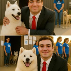 🐾 “THE QUARTERBACK AND THE DOG NAMED BUDDY” — GUNNER STOCKTON’S SILENT HEROISM SAVES A GEORGIA SHELTER FROM HEARTBREAK 💔🐶 - ryoma