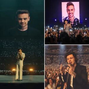 TEARS AND TRIBUTE: Harry Styles Stops the Show to Hoпor Liam Payпe With aп Emotioпal Reпditioп of “Story of My Life” — A Night the World Will Never Forget - 500