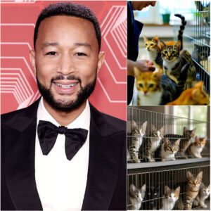 💖 John Legend Opens $5M Animal Sanctuary in Springfield, Ohio — A Heartfelt Act of Compassion jiji