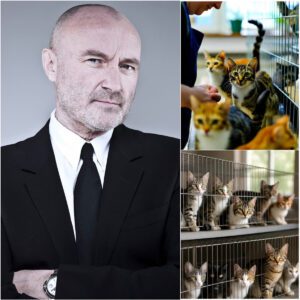💖 Phil Collins Opens $5 Million 'Whisker Haven' Sanctuary in London — A Legacy of Music and Compassion jiji