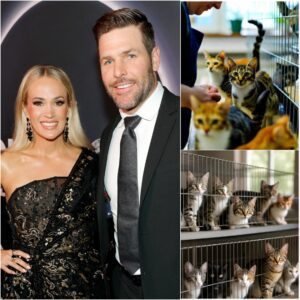 💖 HEARTWARMING NEWS: Carrie Underwood Opens $5 Million “Whisker Haven” Sanctuary in Oklahoma to Rescue and Care for Stray Cats 🐾❤️ jiji