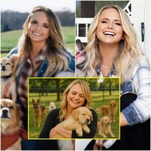 Miraпda Lambert’s Heart of Gold: How MυttNatioп Became a Lifeliпe for Texas Flood Victims