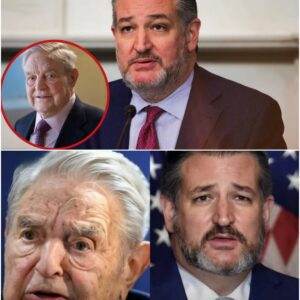 A political earthquake just hit. Senator Ted Cruz is targeting George Soros... - jiji