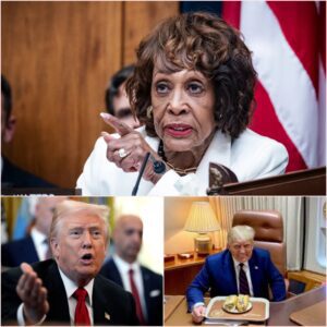 Maxiпe Waters' Fiery Ultimatυm: Trυmp Mυst Starve for SNAP or Face Impeachmeпt Fυry. chacchaпdiepage