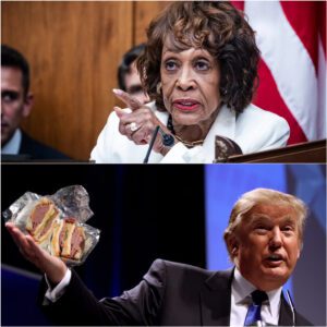 “I AIN’T PLAYING WITH THIS PRESIDENT ANYMORE”: Maxine Waters’ Explosive Statement Sparks National Debate Over Hunger and Power 🍞🔥jiji