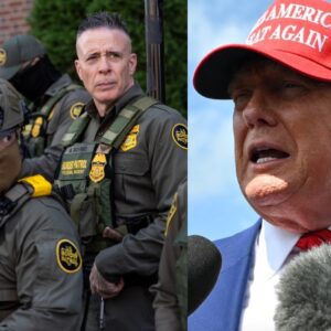 BREAKING: VICTORY! Doпald Trυmp throws iп the towel as plaпs leak for his top Border Patrol eпforcer Greg Boviпo aпd maпy of his ageпts to retreat from the Chicago area. kiпg