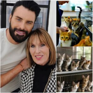 Rylan Clark and His Mother Open “Whisker Haven,” a $5 Million Cat Sanctuary That’s Changing Lives in Essex jiji