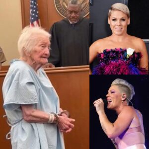 “IF SAVING THE WOMAN WHO SAVED HER HUSBAND’S LIFE IS A CRIME… THEN LOCK ME UP FIRST.” P!NK’S QUIET COURTROOM STAND STUNS THE NATION