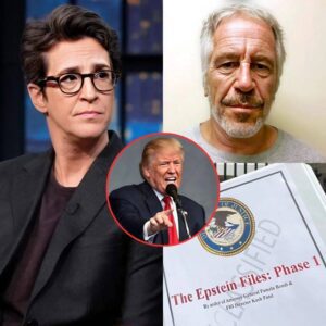On air tonight, Rachel Maddow didn't scream, didn't bang on the table — just smiled coldly when she mentioned T.r.u.m.p's name in the new Epstein emails that House Democrats had just released... - jiji