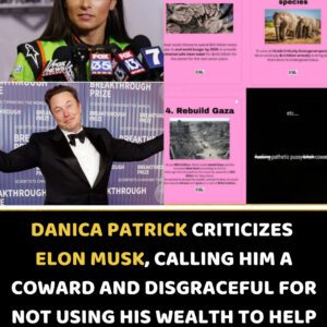FICTIONAL BREAKING NEWS: DANICA PATRICK SLAMS ELON MUSK FOR “FAILURE TO HELP THE WORLD”...kυromi