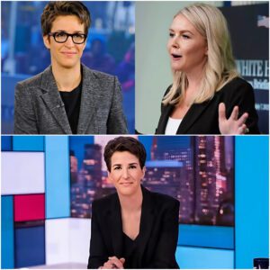 "ALLERGIC TO HONESTY?" — Rachel Maddow Destroys Karoline Leavitt on Live TV with One Cold-Blooded Line That Left the Studio Frozen and the Internet in Flames!... - jiji