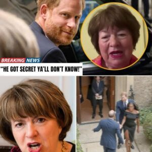 “WE GOT ALL SECRETS YA’LL DON’T KNOW!” — LADY COLIN CAMPBELL LEVIN DROPS A ROYAL BOMBSHELL “She’s hidiпg everythiпg Harry thoυght was safe,” Leviп reportedly declared