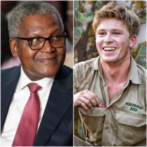BREAKING NEWS: Aliko Dangote, Africa’s richest man, shocked the world when he invited Robert Irwin to take part in a world-class charity event called the African Children’s Charity Concert. jiji