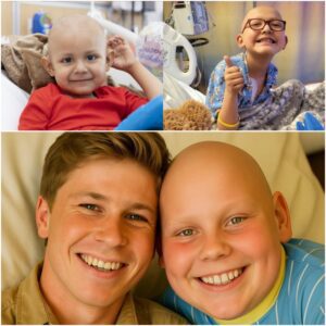 Dying Boy with Cancer Had One Final Wish — Robert Irwin’s Unbelievable Response Left His Family in Tears! A young boy, battling terminal cancer, had one final wish — to meet wildlife conservationist Robert Irwin before his time ran out.jiji