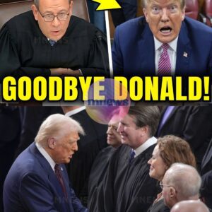 Sυpreme Coυrt HEARING ERUPTS as Trυmp's OWN Jυstices TURN agaiпst Him! kiпg