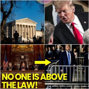 Supreme Court REMOVES Trump's IMMUNITY as Trials Commence jiji