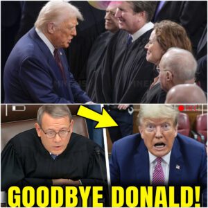 Supreme Court HEARING ERUPTS as Trump's OWN Justices TURN against Him! jiji