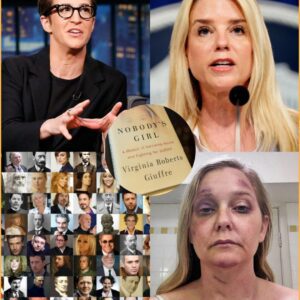 ON EVERY PAGE, I WILL EXPOSE ONE PERSON: Rachel Maddow “EXPLODED IN ANGER” WHEN SPEAKING BEFORE BONDI: “IF YOU FEEL TERRIFIED WHEN READING THE BOOK – THEN I AM FORCED TO STAND UP.” jiji