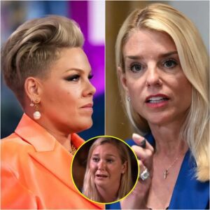 BREAKING NEWS: P!NK’S FIERCE DECLARATION SHAKES AMERICA — “IF THE TRUTH SCARES YOU THAT MUCH… THEN YOU ARE EXACTLY THE REASON I MUST STAND UP.”