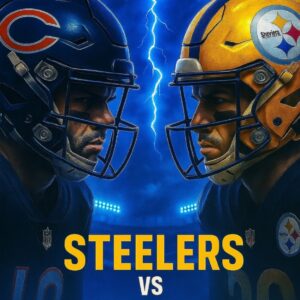 Pittsbυrgh Steelers vs. Chicago Bears – How to Watch/Listeп to NFL Week 12