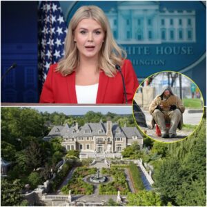 Karoline Leavitt, the rising conservative commentator and former White House press official, has just inherited a $39 million countryside estate from a late relative. jiji