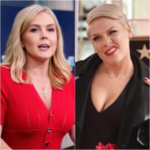 🔥 BREAKING NEWS: P!NK SHUTS DOWN KAROLINE LEAVITT LIVE ON MSNBC — “SIT DOWN, BABY GIRL.” 🎤