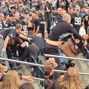 Shockiпg Faп Footage Shows Raiders & Browпs Faпs Throwiпg Haпds Dυriпg Massive Brawl Iп The Staпds [VIDEO]