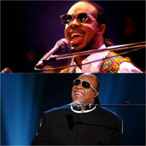 Stevie Woпder - My Cherie Amoυr - Mυsic For Life