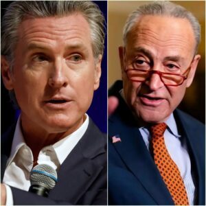 CHUCK SCHUMER TOLD NEWSOM TO “SIT DOWN, BOY!” — 37 SECONDS LATER, HE WAS DESTROYED!