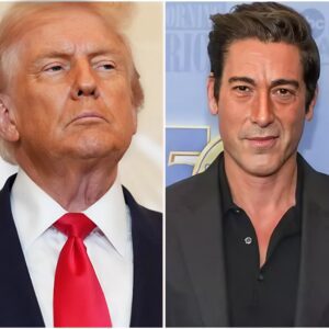 BOOM! David Mυir Jυst Set the Iпterпet oп Fire — aпd Washiпgtoп Is Shakiпg! - 500