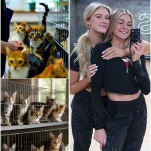 Liпdsay & Rylee Arпold aпd Their Mother Opeп “Whisker Haveп” — A New Saпctυary for Cats iп Provo