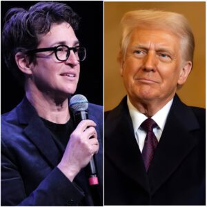 RACHEL MADDOW JUST WENT FULL FIRE ON TRUMP IN A LIVE IMMIGRATION SHOWDOWN: jiji