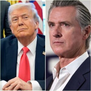 GAVIN NEWSOM JUST WENT NUCLEAR ON TRUMP IN A LIVE IMMIGRATION SHOWDOWN — AND AMERICA FROZE