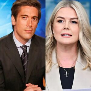 DAVID MUIR READS KAROLINE LEAVITT’S ENTIRE BIO ON LIVE MSNBC — THEN SAYS “SIT DOWN, BABY GIRL.” kiпg