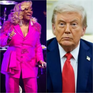 PATTI LABELLE SETS THE SCREEN ABLAZE IN FICTIONAL IMMIGRATION DRAMA “THE DIVIDING LINE” — A SEVENTEEN-SECOND SILENCE THAT SHOOK THE WORLD