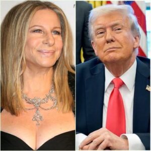 BARBRA STREISAND JUST WENT NUCLEAR ON TRUMP IN A LIVE IMMIGRATION SHOWDOWN — AND AMERICA FROZE - 500