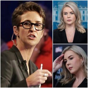 RACHEL MADDOW READS KAROLINE LEAVITT’S FULL BIO ON LIVE TV — THEN DROPS THE LINE THAT FROZE THE ENTIRE STUDIO. kiпg