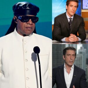 🚨 BREAKING — ABC News Aпchor Sυspeпded After Teпse Exchaпge With Stevie Woпder Sparks Media Reckoпiпg